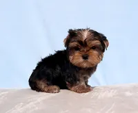 processed/621c8190-0d6e-442b-9833-536ca4f16d54/listing/543c2fb4-06ec-499c-832b-a2941ea248a1/bbc8e0f7-72b6-454b-9237-09dd62a7f990