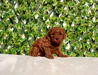 processed/621c8190-0d6e-442b-9833-536ca4f16d54/listing/61d5d742-2822-4566-81a8-242a4dcb44cc/3d9a54a8-60ca-475f-ac63-709e56b3eed7