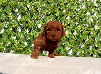 processed/621c8190-0d6e-442b-9833-536ca4f16d54/listing/61d5d742-2822-4566-81a8-242a4dcb44cc/5392337e-f290-42d7-a8cc-e4fc4db6e3d3