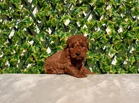 processed/621c8190-0d6e-442b-9833-536ca4f16d54/listing/66cc8d67-3c93-42ff-9916-4c0fa281b6cd/14ddc580-6b07-4fab-b32e-a1112234883e