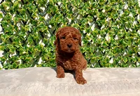 processed/621c8190-0d6e-442b-9833-536ca4f16d54/listing/66cc8d67-3c93-42ff-9916-4c0fa281b6cd/96de588b-2cd6-4bce-aa73-58662c6e0b82