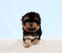 processed/621c8190-0d6e-442b-9833-536ca4f16d54/listing/c78a4d25-8788-439d-8681-5ff9bec11f53/2b5f31c7-4392-4150-8666-9ed8725c4dde