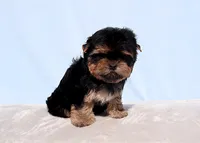 processed/621c8190-0d6e-442b-9833-536ca4f16d54/listing/c78a4d25-8788-439d-8681-5ff9bec11f53/efe024c1-aa32-4259-b08b-d88c565b478c