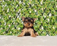 processed/621c8190-0d6e-442b-9833-536ca4f16d54/listing/d85f1f64-9bb8-4f50-816f-adedf8a9ce26/25d2304b-71fe-4f90-b1e4-9f7b7a3b3695