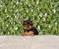 processed/621c8190-0d6e-442b-9833-536ca4f16d54/listing/d85f1f64-9bb8-4f50-816f-adedf8a9ce26/d0cf2c9a-b4c0-4fe7-9d9b-ed376649755d