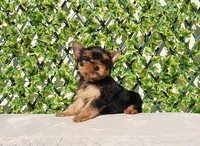 processed/621c8190-0d6e-442b-9833-536ca4f16d54/listing/d85f1f64-9bb8-4f50-816f-adedf8a9ce26/fab4b26d-56bc-44ce-97e1-b3bdb00fc268