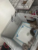 processed/621cc519-8c0c-48a1-b79d-5c540b85f1dd/facility/003b9002-f607-4c8d-87d7-d7ddb9ff363c