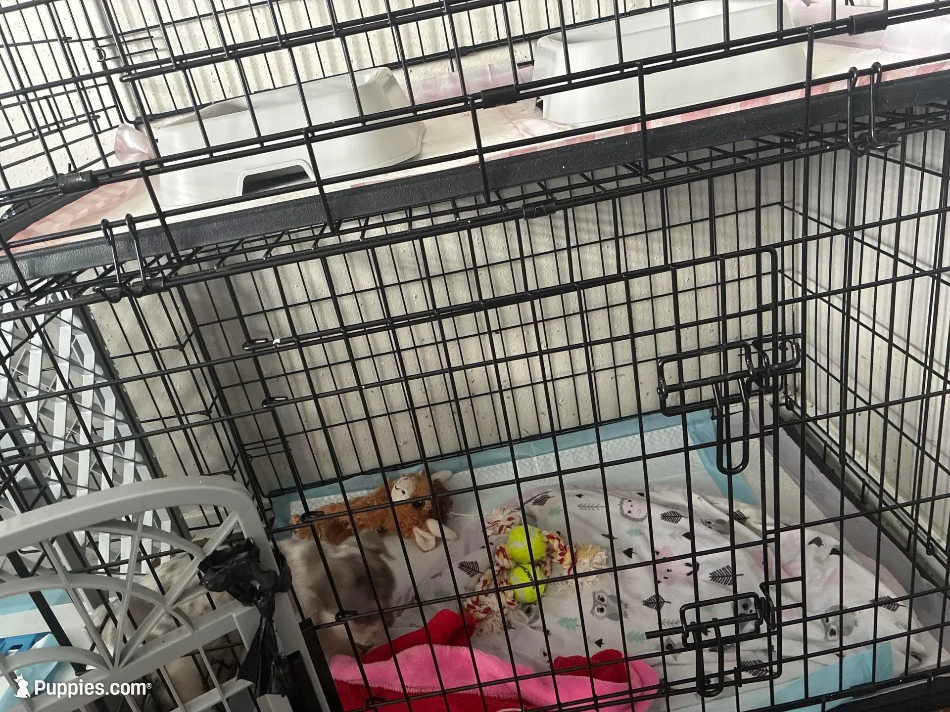 processed/621cc519-8c0c-48a1-b79d-5c540b85f1dd/facility/47b0f089-d239-4f80-96c3-88b893fcfe1f