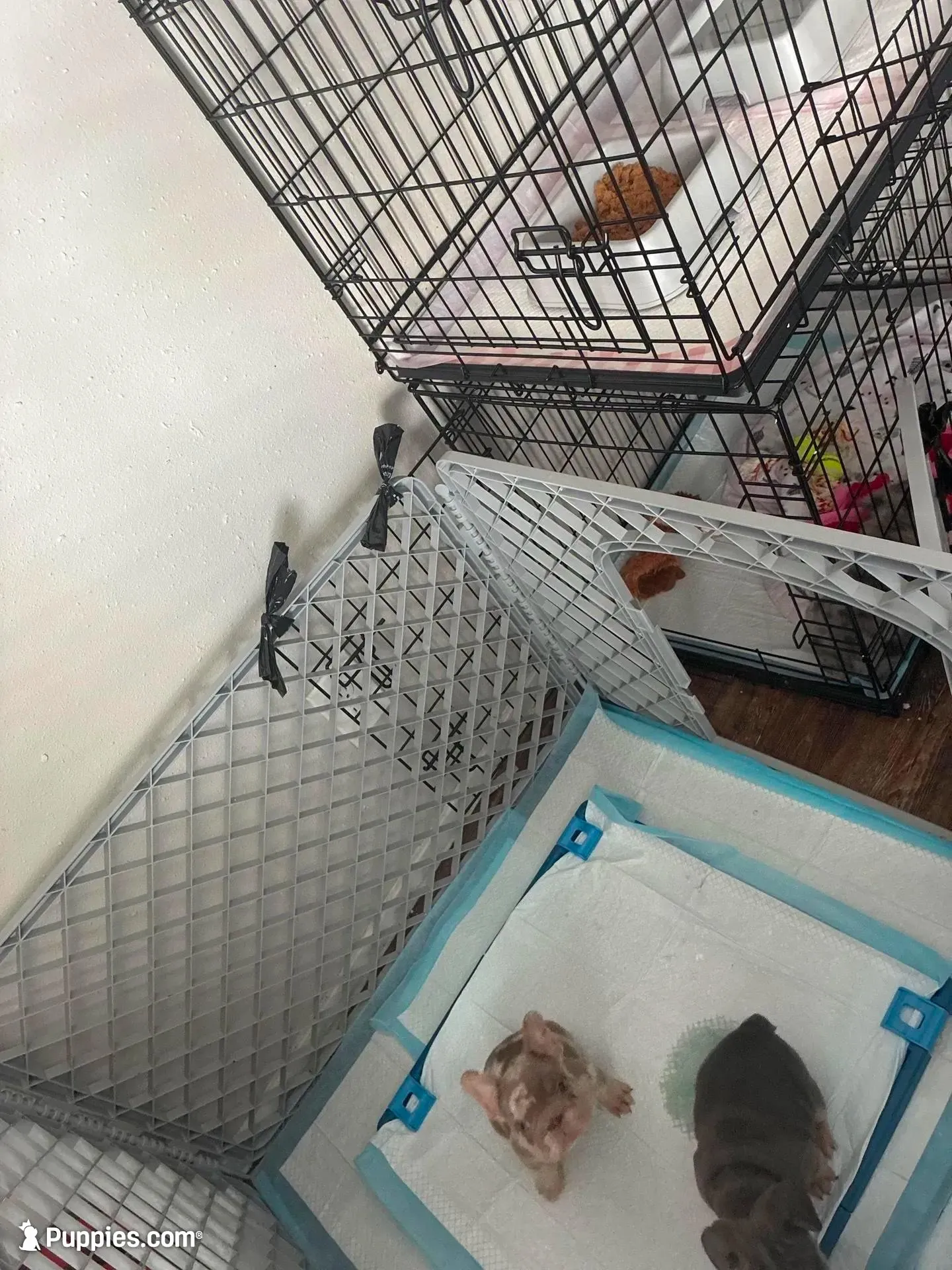 processed/621cc519-8c0c-48a1-b79d-5c540b85f1dd/facility/49ea1b7c-ca5e-46e3-8a84-24eeb3ddae91