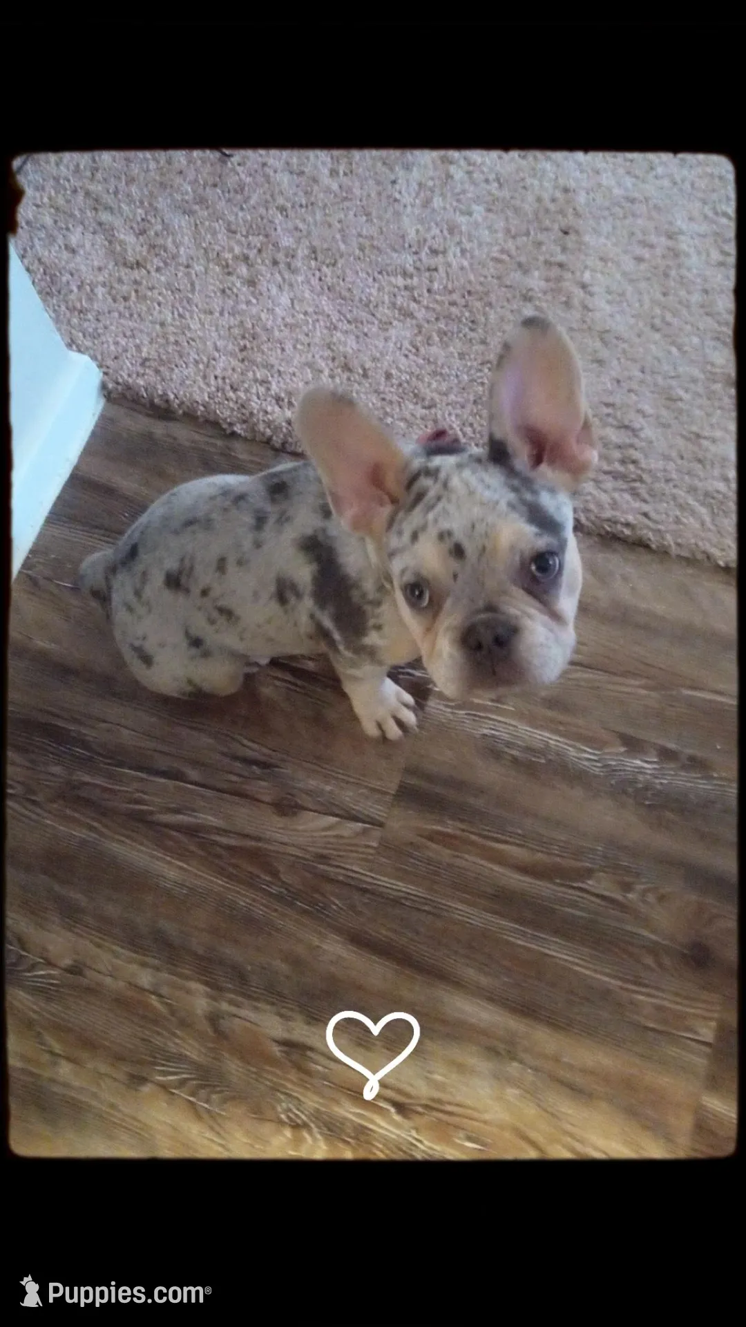 processed/621cc519-8c0c-48a1-b79d-5c540b85f1dd/facility/50b51ca2-7707-422a-afeb-2050bdba4fab