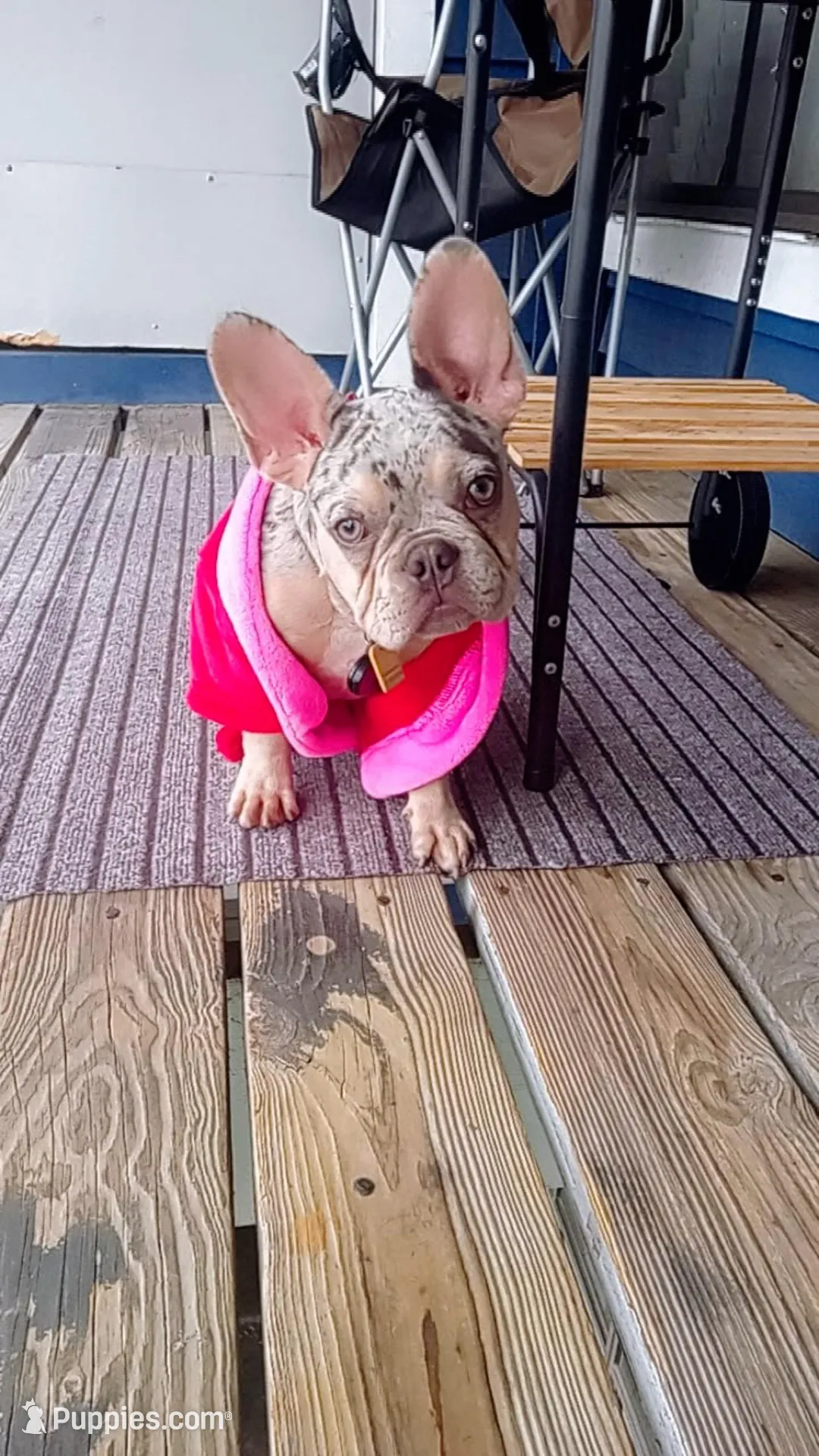 processed/621cc519-8c0c-48a1-b79d-5c540b85f1dd/facility/5a3bb5a2-8830-43f4-b1c9-fe07bfa21202