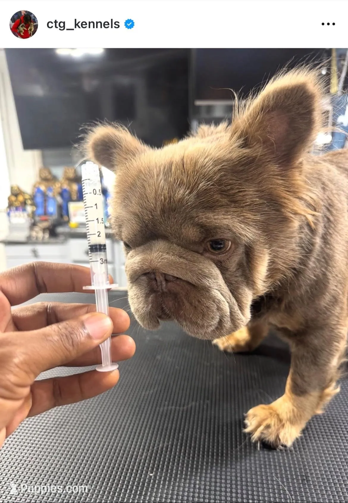 processed/621cc519-8c0c-48a1-b79d-5c540b85f1dd/facility/cc3612df-144b-4ec2-963d-651be1783045