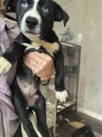 processed/621da924-524b-4420-8d9e-228f14ea3adf/listing/bb38d189-5d40-4b70-956f-aa06b679da9c/08ae35b3-c868-4322-8048-41787ffe1bff