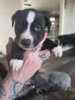 processed/621da924-524b-4420-8d9e-228f14ea3adf/listing/bb38d189-5d40-4b70-956f-aa06b679da9c/318ff013-4dbf-4fca-806d-918de76a9e19