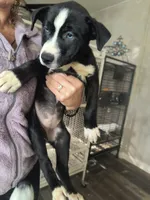 processed/621da924-524b-4420-8d9e-228f14ea3adf/listing/bb38d189-5d40-4b70-956f-aa06b679da9c/3368a592-6a8f-4b23-9ded-e9b29b2037e9