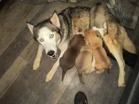 processed/621da924-524b-4420-8d9e-228f14ea3adf/listing/bb38d189-5d40-4b70-956f-aa06b679da9c/366c23db-51dc-4422-8bab-531159c26322