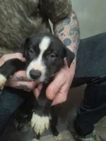 processed/621da924-524b-4420-8d9e-228f14ea3adf/listing/bb38d189-5d40-4b70-956f-aa06b679da9c/4ae4fec2-d318-4f91-8bba-c8ee2a285c81