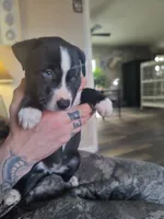 processed/621da924-524b-4420-8d9e-228f14ea3adf/listing/bb38d189-5d40-4b70-956f-aa06b679da9c/88986092-b145-44c8-bf25-9de88dab0a17