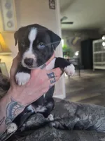 processed/621da924-524b-4420-8d9e-228f14ea3adf/listing/bb38d189-5d40-4b70-956f-aa06b679da9c/a125561c-7351-4b00-9fc5-644c0cfd64f4