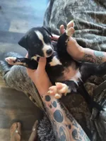 processed/621da924-524b-4420-8d9e-228f14ea3adf/listing/bb38d189-5d40-4b70-956f-aa06b679da9c/adf5687e-e263-4235-810e-53d06abf0bc6