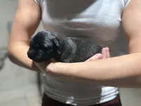 processed/6220bdd2-4905-4da3-a7af-b7349b5d6023/listing/141a3f59-b2e9-4c64-9379-6e09bed3403a/910231ec-a089-478c-8fad-f7931d3c5e87