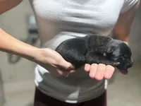 processed/6220bdd2-4905-4da3-a7af-b7349b5d6023/listing/85ecf413-c22d-4750-b4c0-cdf11bf36b6b/8695c25b-bb43-4c73-9b7c-9640e8fa9c7f