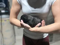 processed/6220bdd2-4905-4da3-a7af-b7349b5d6023/listing/85ecf413-c22d-4750-b4c0-cdf11bf36b6b/ac82e553-5879-4f4f-9184-299c79c0a820