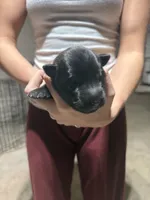 processed/6220bdd2-4905-4da3-a7af-b7349b5d6023/listing/9a24c04e-f5ef-4313-b5db-7638b8dd06a7/5dff7c76-a0c3-41df-80d4-0c8edb14606b