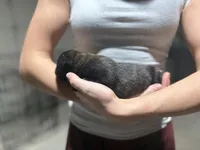 processed/6220bdd2-4905-4da3-a7af-b7349b5d6023/listing/9a24c04e-f5ef-4313-b5db-7638b8dd06a7/c659dcfc-5ec8-4f0f-9e5e-f0639ce71090