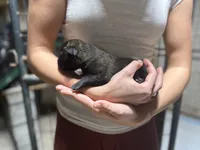 processed/6220bdd2-4905-4da3-a7af-b7349b5d6023/listing/ce20041c-48d1-4081-b563-450d6b9eed80/22f5a11c-33eb-43ce-8230-6a2649b8acb7