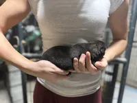 processed/6220bdd2-4905-4da3-a7af-b7349b5d6023/listing/ce20041c-48d1-4081-b563-450d6b9eed80/89191771-5dda-4f47-a056-78d6a8381df9