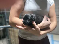 processed/6220bdd2-4905-4da3-a7af-b7349b5d6023/listing/e94737cd-a9f0-403b-9258-a6e5fcbd3ec7/50900093-d9b6-4c63-af84-392903b10148