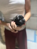 processed/6220bdd2-4905-4da3-a7af-b7349b5d6023/listing/e94737cd-a9f0-403b-9258-a6e5fcbd3ec7/8e88dc82-252d-4409-ad84-49540bbdb2d4