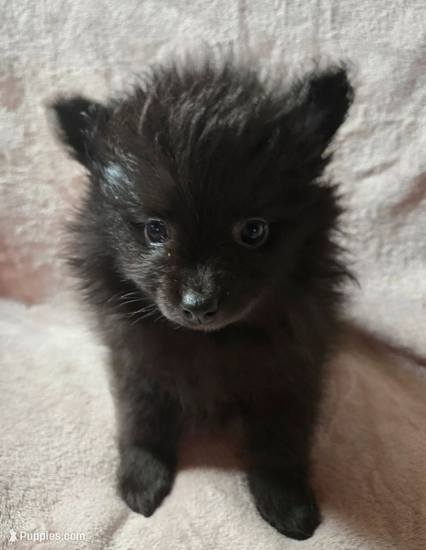 processed/6226139e-4a4c-4a87-8843-fb1866f78914/listing/b90f0b84-c69b-42cc-a701-aaffa75ac626/218018e7-e240-49fb-b408-3ffcb269cf60