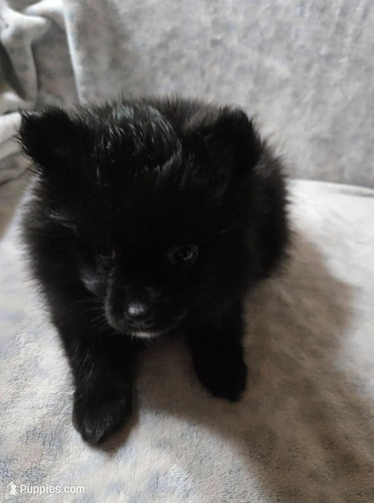 processed/6226139e-4a4c-4a87-8843-fb1866f78914/listing/b90f0b84-c69b-42cc-a701-aaffa75ac626/2bb23f0a-f678-40e3-a931-ef23477fbba8