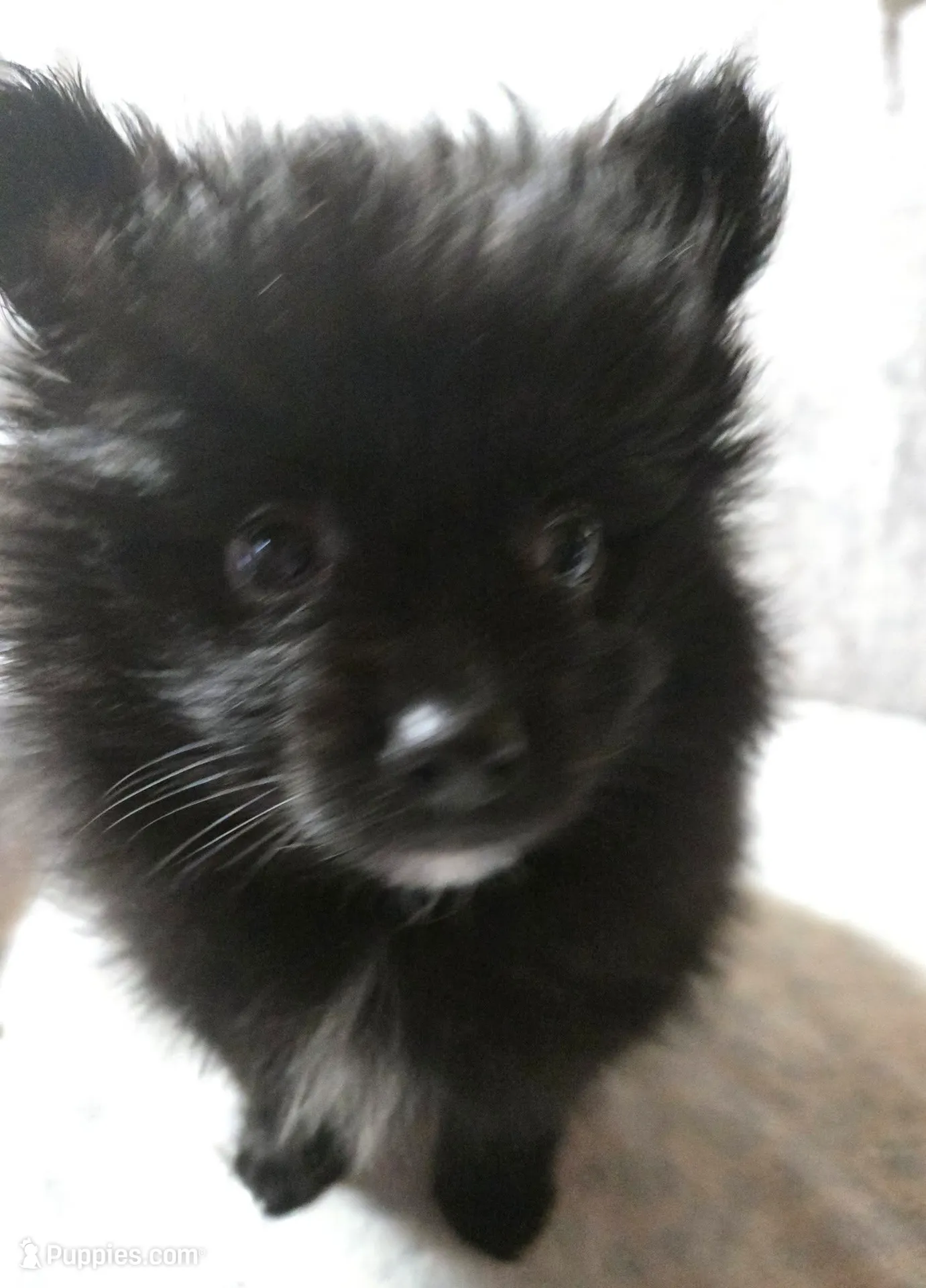 processed/6226139e-4a4c-4a87-8843-fb1866f78914/listing/b90f0b84-c69b-42cc-a701-aaffa75ac626/2f44668f-9d48-404c-8f4b-548815c423c1