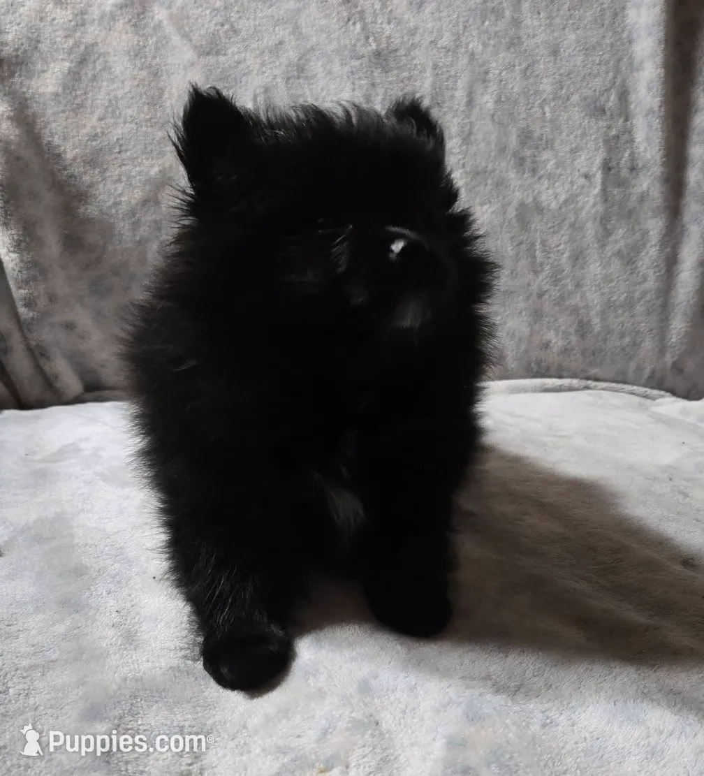 processed/6226139e-4a4c-4a87-8843-fb1866f78914/listing/b90f0b84-c69b-42cc-a701-aaffa75ac626/a37a9512-c209-421b-951b-a71b84a912e7