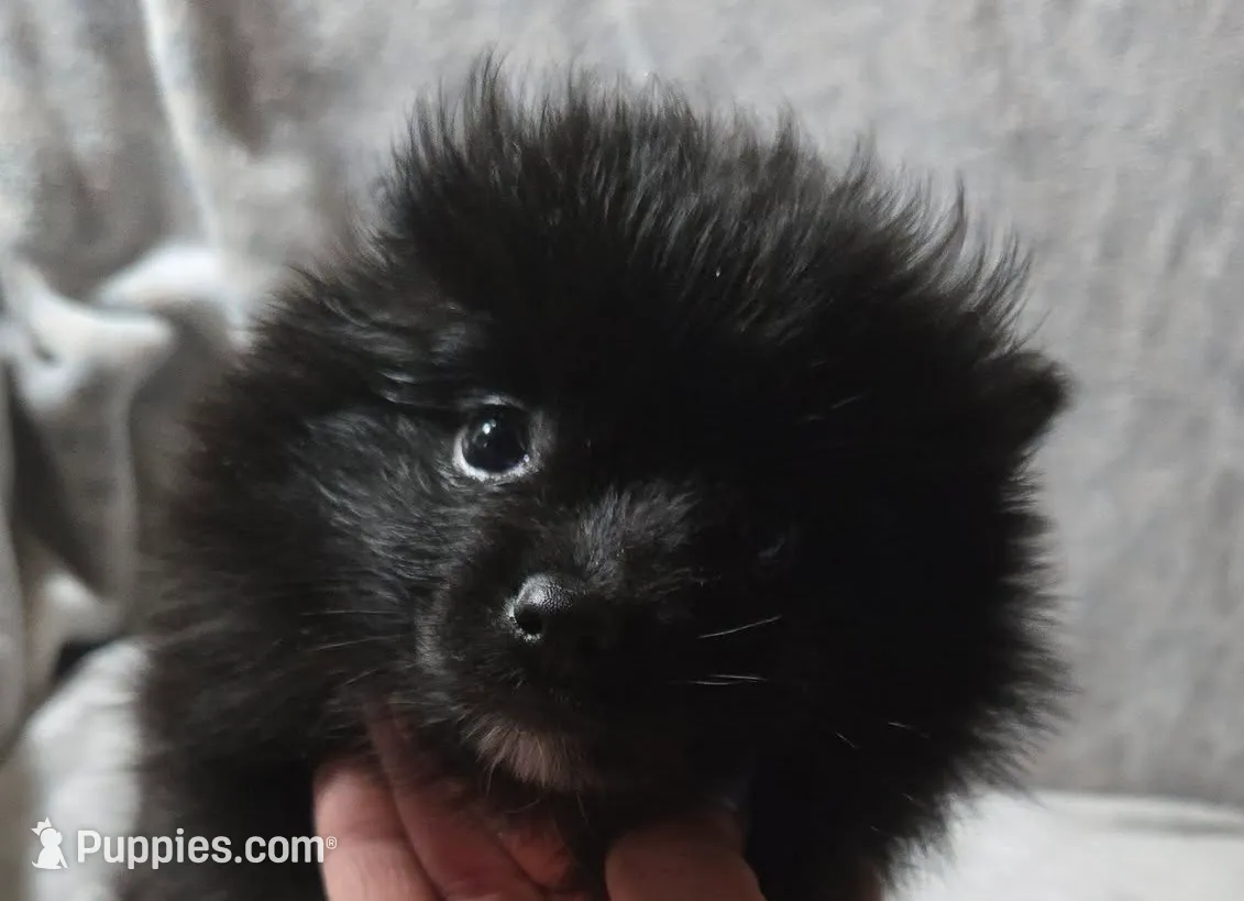 processed/6226139e-4a4c-4a87-8843-fb1866f78914/listing/b90f0b84-c69b-42cc-a701-aaffa75ac626/a3ce9ad6-e4b5-4a56-90e4-5252c7243c3c