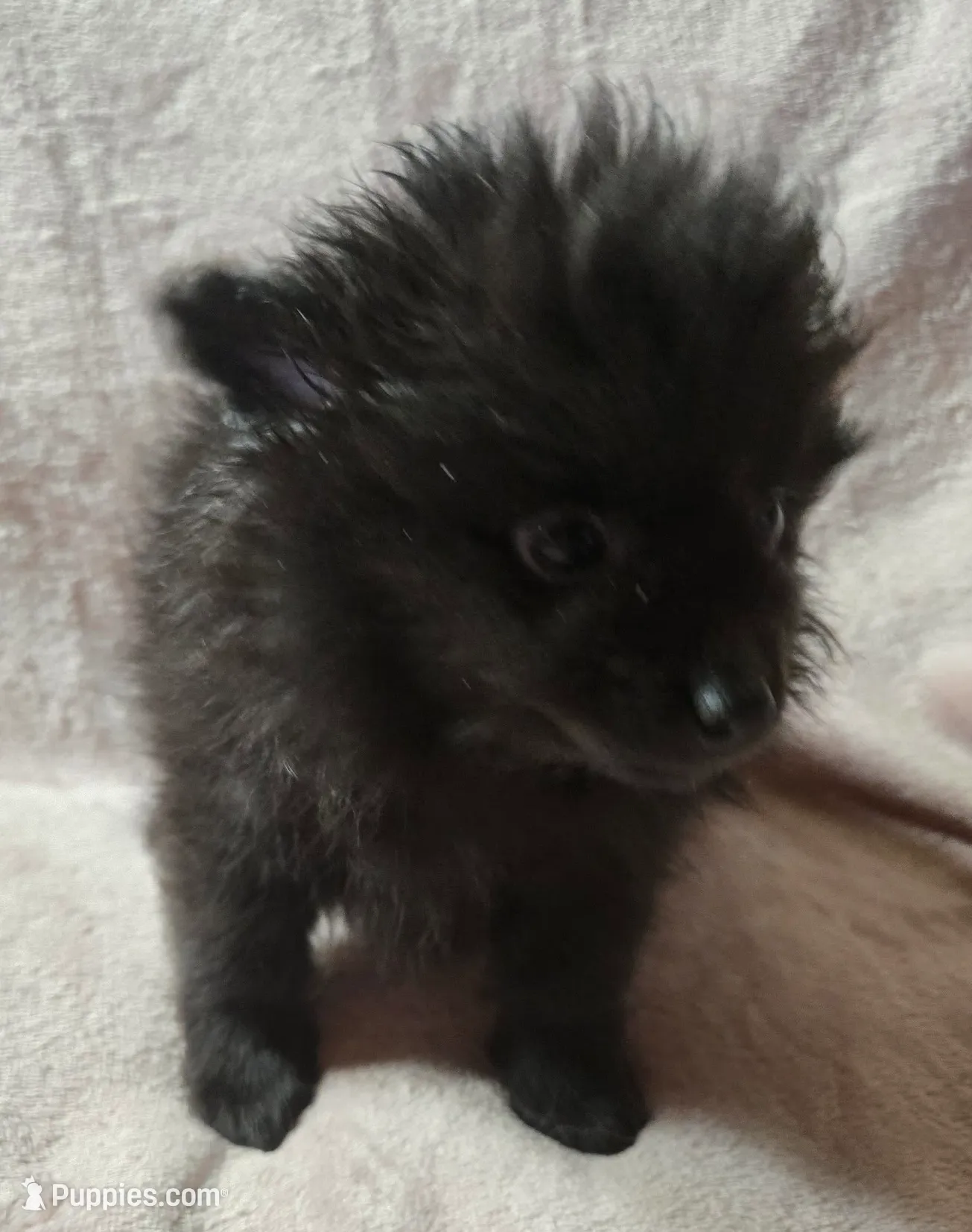 processed/6226139e-4a4c-4a87-8843-fb1866f78914/listing/b90f0b84-c69b-42cc-a701-aaffa75ac626/f99ff6de-339f-4ca2-8a1d-510b3bd954c9