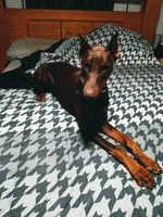 processed/6229f167-e2c2-451f-adf7-78d885393ef6/listing/13b4817f-faeb-47f3-bd24-e927a8debb53/a0a10faa-af4a-4f37-a687-34226a76339a