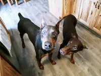 processed/6229f167-e2c2-451f-adf7-78d885393ef6/listing/39a65616-40b9-4649-b142-e9716046c2f3/51f6f9c3-1bc8-4f5a-81f9-cc6d613bbd88