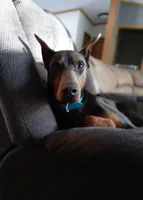 processed/6229f167-e2c2-451f-adf7-78d885393ef6/listing/a583a000-765f-4b55-90d1-3e425c46bda6/4e082fad-4426-428f-a42a-41f478c8c370