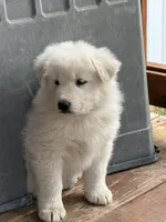 processed/62303832-bcf4-4e5f-9d15-90480546e700/listing/11614cc1-8897-4dbc-886c-a2b56df2fa0f/6bc4ba83-628c-40fb-adcb-f57efbe585e0