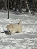 processed/62303832-bcf4-4e5f-9d15-90480546e700/listing/11614cc1-8897-4dbc-886c-a2b56df2fa0f/7b57aa75-96aa-4f21-95be-0d3afd24a8ea