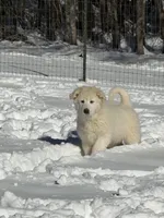 processed/62303832-bcf4-4e5f-9d15-90480546e700/listing/11614cc1-8897-4dbc-886c-a2b56df2fa0f/d173a1aa-9ccc-4b0f-afce-eb807fe30445