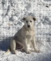 processed/62303832-bcf4-4e5f-9d15-90480546e700/listing/b27268f8-6e5f-4c45-95da-88500050cebb/9bcf6164-3383-4483-898b-8df4da7b2f92