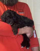 processed/623d90c9-c499-4024-90a8-b77be742a77a/listing/5623f54d-b38e-41ae-a6f0-9b88b8fa69cf/b35093ad-133c-4f58-b2e3-cd21000e12e1