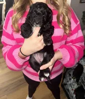 processed/623d90c9-c499-4024-90a8-b77be742a77a/listing/5623f54d-b38e-41ae-a6f0-9b88b8fa69cf/b6d3c832-0f77-4073-8f64-6687c8f909c8