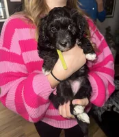 processed/623d90c9-c499-4024-90a8-b77be742a77a/listing/db8caa51-93cc-4430-a898-f24c0026db32/49e1b536-f16e-4a25-bee4-0d2dce9e7b1c