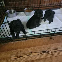 processed/623ff407-735d-47a9-a229-9e85262a9c0d/facility/3923cfcf-3d36-42cf-94ca-4d6e139ae59c